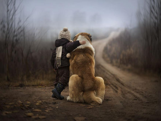 The Magical Pictures of Two Kids With Animals On A Farm