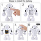 Smart Space Walking Dancing Robot